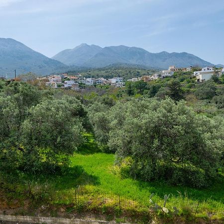 To Patriko Βίλα Κουρνάς Εξωτερικό φωτογραφία