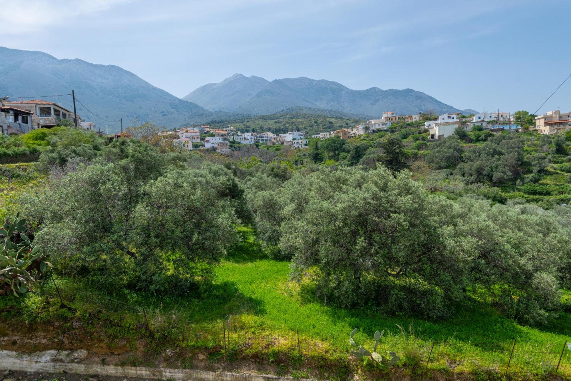 To Patriko Βίλα Κουρνάς Εξωτερικό φωτογραφία